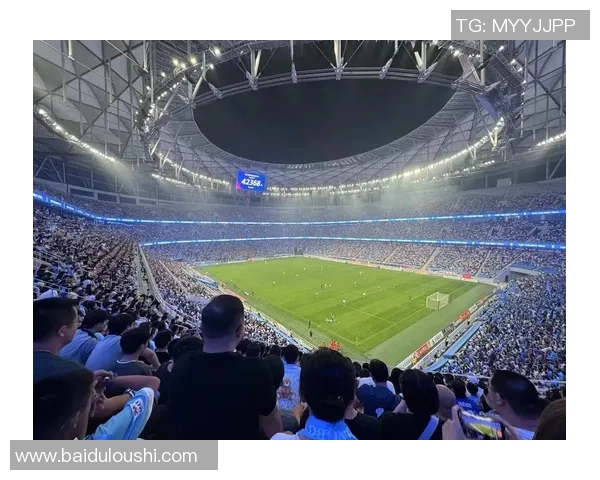 足球背后的故事与激情探讨球场内外的精彩瞬间与人生哲理