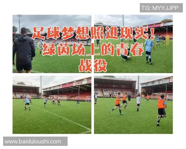 足球邻居的故事:在绿茵场上绽放的友情与梦想